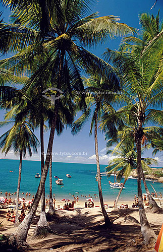  Praia com palmeiras, gente e barcos - Calhetas - Pernambuco - Brasil  - Cabo de Santo Agostinho - Pernambuco - Brasil