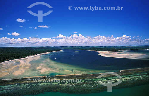  Areia e recife de coral na Praia de Carneiros -  litoral de Pernambuco - Brazil - 2000  - Carneiros - Pernambuco - Brasil