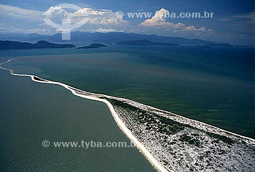  Restinga de Marambaia - Rio de Janeiro - Brasil / Marambaia´s spit - Rio de Janeiro - Brazil  - Rio de Janeiro - Rio de Janeiro - Brasil