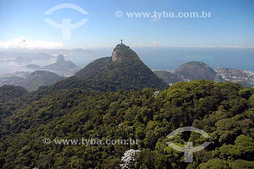  Vista aérea de mata florestada em montanhas com Cristo Redentor e Pão de Açucar ao fundo - Rio de Janeiro - RJ - Brasil  - Rio de Janeiro - Rio de Janeiro - Brasil