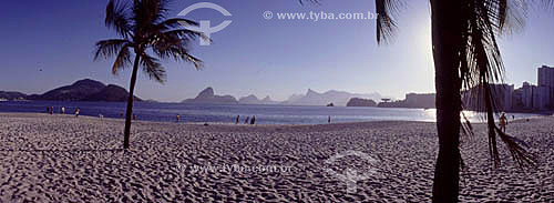  Praia de Icaraí com palmeiras - Niterói - RJ - Brasil  - Niterói - Rio de Janeiro - Brasil