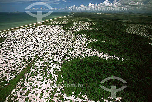  Vista aérea do Parque Nacional da Restinga de Jurubatiba - Carapebus, próximo à cidade de Macaé, a noroeste do estado do Rio de Janeiro - RJ - Brasil  - Carapebus - Rio de Janeiro - Brasil
