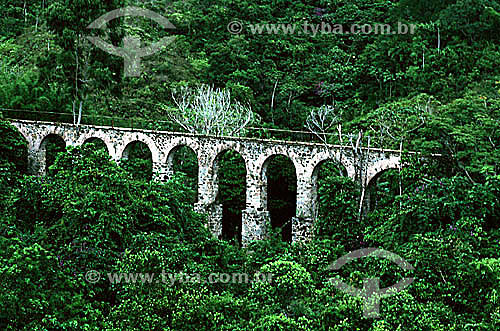  Vista aérea do Aqueduto do Lazareto, construído no século 19 para  levar água ao antigo centro de quarentena - Ilha Grande - APA dos Tamoios - Baía de Angra dos Reis - Costa Verde - RJ - Brasil
  - Angra dos Reis - Rio de Janeiro - Brasil