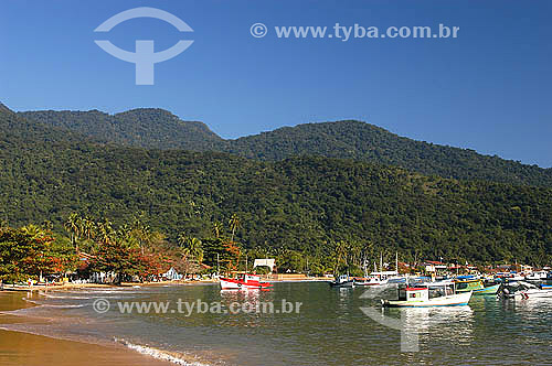  Barcos ancorados no mar na Vila do Abraão - Ilha Grande - Litoral sul do Rio de Janeiro - Brasil  - 2005                                      - Angra dos Reis - Rio de Janeiro - Brasil