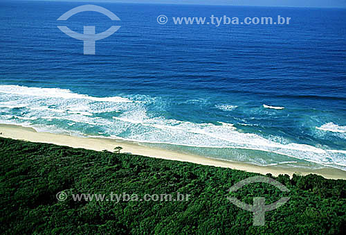  Reserva Biológica da Praia do Sul - Ilha Grande - APA dos Tamoios - Baía de Angra dos Reis - Costa Verde - RJ - Brasil  - Angra dos Reis - Rio de Janeiro - Brasil