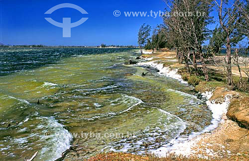  Lagoa com espuma produzida pelo vento constante e talvez devido a maior salinidade - Lagoa de Araruama - Araruama - RJ - Brasil - Agosto de 2002  - Araruama - Rio de Janeiro - Brasil