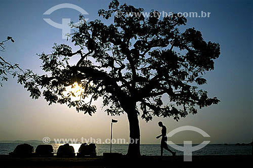 Silhueta de árvore e homem caminhando em Paquetá, ilha na Baía de Guanabara - RJ - Brasil  - Paquetá - Rio de Janeiro - Brasil