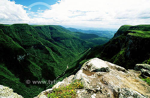  Canyon Fortaleza - perto de Cambará do Sul - RS - Brasil  - Cambará do Sul - Rio Grande do Sul - Brasil