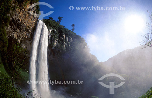  Cachoeira do Caracol - Serra Gaúcha - Canela - Rio Grande do Sul - Brasil  - Canela - Rio Grande do Sul - Brasil