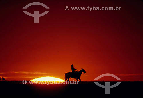  Silhueta de gaúcho à cavalo em frente ao sol - RS - Brasil  - Rio Grande do Sul - Brasil