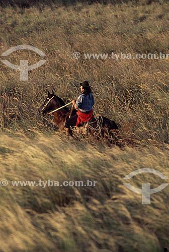  Homem gaúcho andando à cavalo - RS - Brasil  - Rio Grande do Sul - Brasil