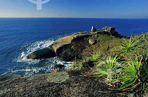  Costão da Praia do Gravatá - Florianópolis - Santa Catarina - Brasil - Junho de 2003  - Florianópolis - Santa Catarina - Brasil