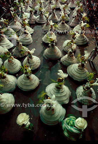  Baianas - Carnaval - desfile - Rio de Janeiro - RJ - Brasil  - Rio de Janeiro - Rio de Janeiro - Brasil