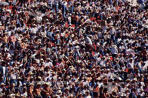  Multidão assistindo ao rodeio na Festa do Peao Boiadeiro em Barretos - SP - Brasil  - Barretos - São Paulo - Brasil