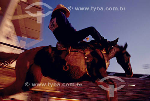  Vaqueiro montado no cavalo na Festa do Peão Boiadeiro - Barretos - SP - Brasil - Rodeio - Barretos - SP - Brasil  - Barretos - São Paulo - Brasil