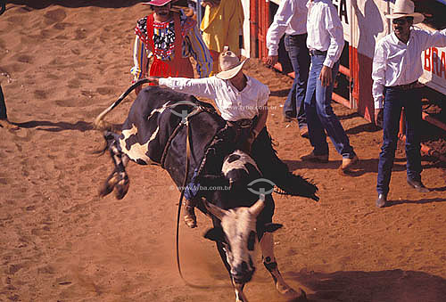  Vaqueiros e touro na Festa do Peão Boiadeiro - Barretos - SP - Brasil  - Barretos - São Paulo - Brasil