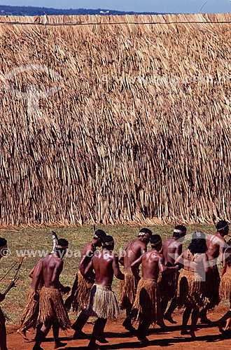  Indios Pataxó  com oca atrás - BA - Brasil

  Populações de índios da nação Pataxó ainda são encontradas na área denominada Costa do Descobrimento (Reserva da Mata Atlântica).  A área é Patrimônio Mundial pela UNESCO desde 01-12-1999 e nela estão localizadas 23 áreas de proteção ambiental na Bahia.  - Bahia - Brasil