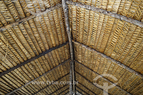  Telhado de palha branca feito de Babaçu - construçao tipica ribeirinha - Rio Negro - AM - Brasil  - Amazonas - Brasil