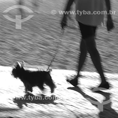  Lazer - pessoa andando com cachorro no calçadão  - Rio de Janeiro - RJ - Brasil  foto digital  - Rio de Janeiro - Rio de Janeiro - Brasil