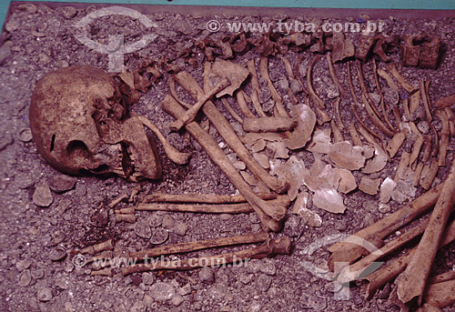  Esqueleto no Museu do Sambaqui -Joinville - Santa Catarina - Brasil  / Data: 2008 