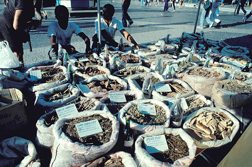 Ervas da Medicina alternativa - Centro da cidade do Rio de Janeiro - RJ - Brasil - 19-12-1989  - Rio de Janeiro - Rio de Janeiro - Brasil