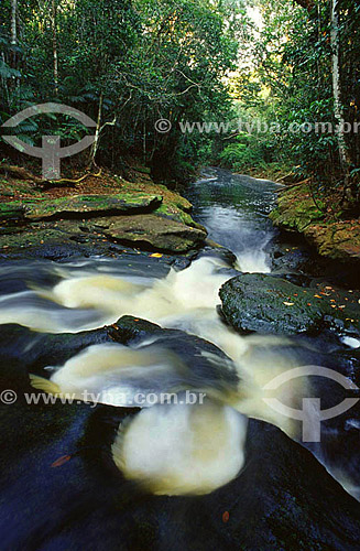  Cachoeira Guariba, no igarapé Preto - Parque Nacional do Jaú  - AM / (julho de 2001)  - Jaú - Amazonas - Brasil