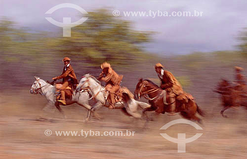  Sertanejos - Homens à cavalo na Caatinga - Brasil 