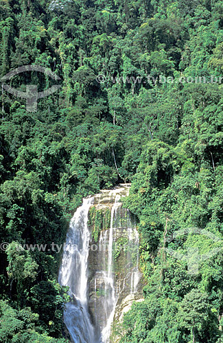 Cachoeira - Reserva Biológica do Tinguá - IBAMA - RJ - Brasil / Data: 2008 
