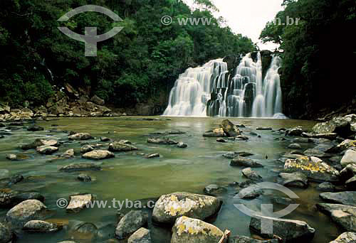  Cachoeira - Parque da Pedreira - Rio Azul - Paraná - Brasil - Março de 2004  - Rio Azul - Paraná - Brasil