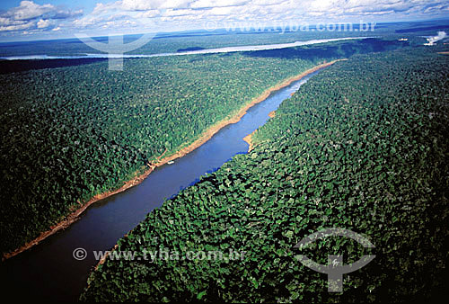  Extensão do Rio Iguaçú - Parque Nacional do Iguaçú  - PR - Sul do Brasil - perto do triângulo Brasil, Argentina e Paraguai

  O Parque Nacional do Iguaçu é Patrimônio Mundial pela UNESCO dede 28-11-1986.  - Foz do Iguaçu - Paraná - Brasil