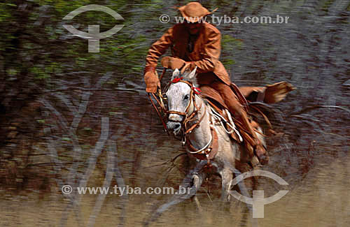  Sertanejo - vaqueiro andando à cavalo com roupa de couro - Caatinga - Brasil / Data: 1995 