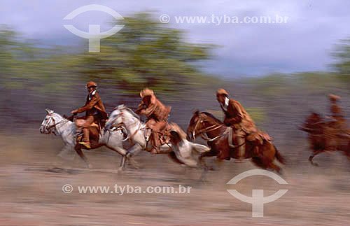  Sertanejo - vaqueiros andando à cavalo  com roupa de couro - Caatinga - Brasil / 1995 
