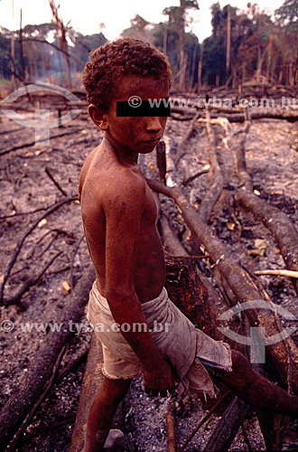  Queimada - Garoto em um incêndio na Floresta Amazônica - Brasil 