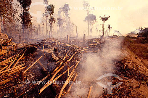  Queimada - Desmatamento na floresta Amazônica - Brasil 