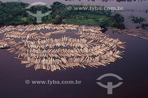  Transporte ilegal de madeira - Troncos de árvores no rio - Rio Purus  - Amazonas - Brasil