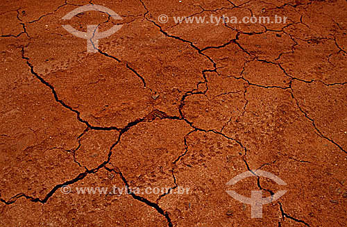  Chão de barro rachado - Vegetação crescendo em terra seca - Estiagem - Nordeste - Brasil / Data: 2002 