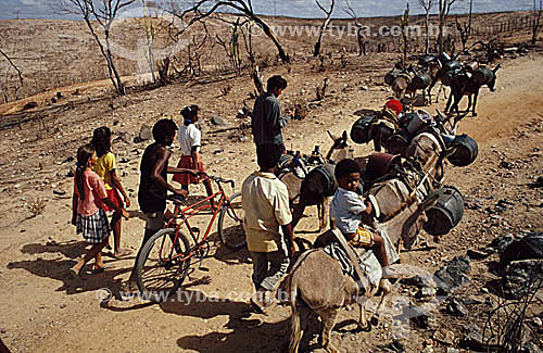  Assunto: Pessoas buscando água durante a seca do nordeste - transporte de carga em barril  sobre lombo de mula (burro) / Local: Ceará (CE) - Brasil / Data: 11/1993 