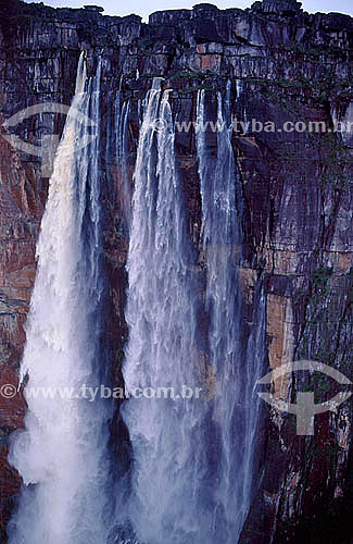  Cachoeira - Salta Ángel - Venezuela 