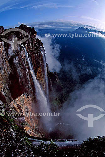  Cachoeira - Salto Ángel - Venezuela 