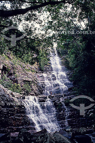  Cachoeira na floresta amazônica venezuelana - Venezuela 