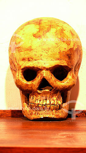  Crânio humano no Museu Antropológico e Histórico de Cartagena - Colômbia 