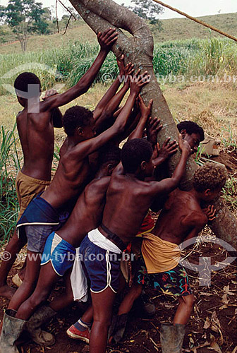  Meninos erguendo um tronco de árvore juntos - Brasil 