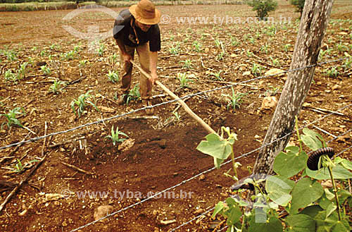 Agricultura de subsistência, pequeno agricultor, trabalhador rural com enxada na mão - Irecê - Bahia - Brasil - Data: 2003 