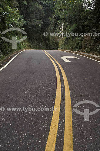  Estrada ou rodovia na Mata Atlântica 