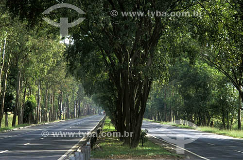  Estrada Rio-São Paulo: Rodovia Presidente Dutra - SP - Brasil  - São Paulo - Rio de Janeiro - Brasil