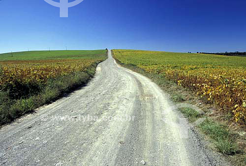  Rodovia, estrada - Prudentópolis - Paraná - Brasil - Março de 2004  - Prudentópolis - Paraná - Brasil