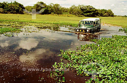  Carro - Automóvel - Jipe atravessando terreno alagado no Pantanal  
