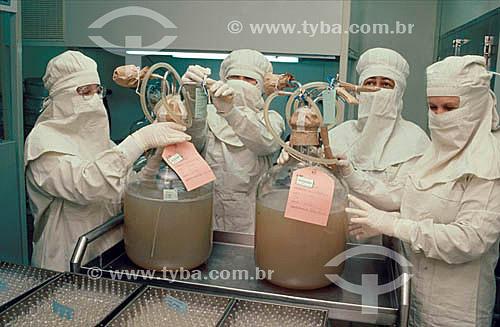  Cientistas trabalhando na produção de soro contra veneno de cobra no Instituto Butantan - São Paulo - SP - Brasil  - São Paulo - São Paulo - Brasil