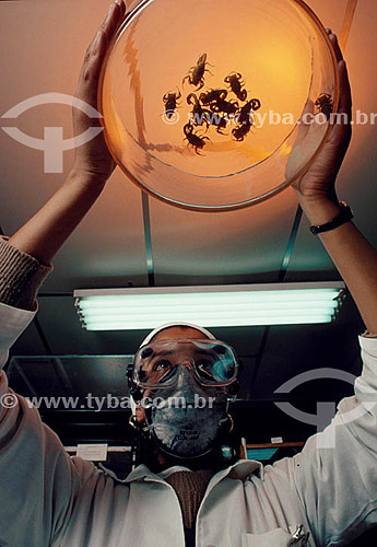  Cientista segurando recipiente de vidro com escorpiões - Brasil 