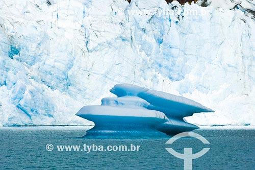  Assunto: Iceberg no Lago Viedma
Local: Parque Nacional Los Glaciares - Patagonia
País: Argentina
Data: 22/01/2007 